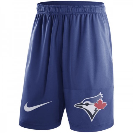 Men's Toronto Blue Jays Royal Dry Fly Shorts